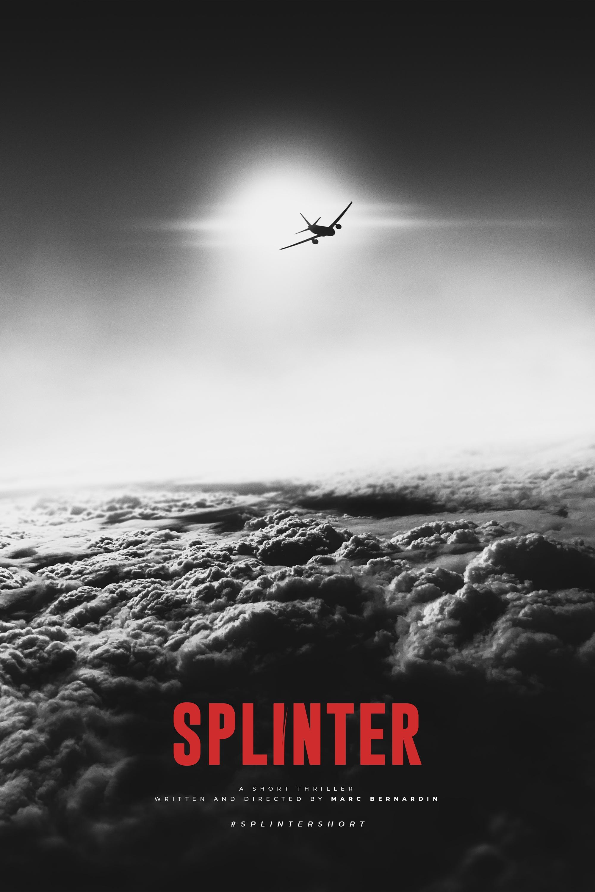 Постер Splinter